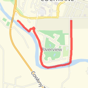 Cochrane 1