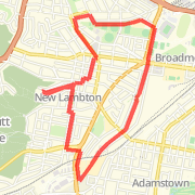 local run