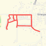 Vineyard 