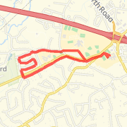 Lions 5k Road race