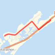 Dolphin Research Center Run