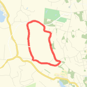 Extended Loop