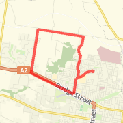 medium 11.5