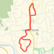 M;s Running Route