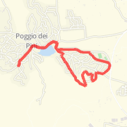 Easy 6km - Pauliara
