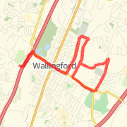 10 mi Town Run