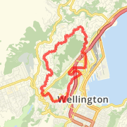 Half a Half Marathon in Northland