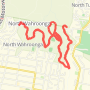 Sydney Saturday Bush Runs Grosvenor Firetrail
