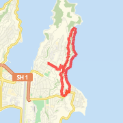 miramar scorching bay seatoun miramar
