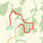 Hanmer 10km