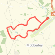 Railway, Mobberley - 10.08.10