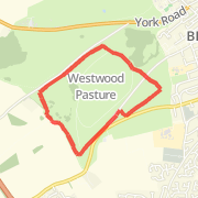 Westwood run 1