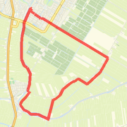 light run with G-Mo6