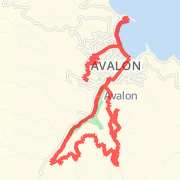 Avalon 6 mile Run