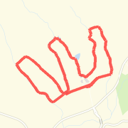 Marianne Talley 5k