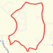 Forest loop