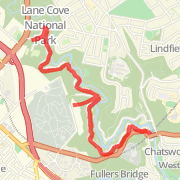 Striders Lane Cove 10km