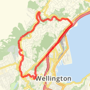 long trelisock