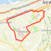 birthday run