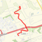 Tracy's Loop