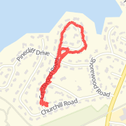 Run with Reese