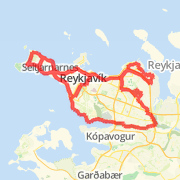 Reykjavik Marathon 