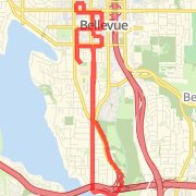 Bellevue Hyatt Run