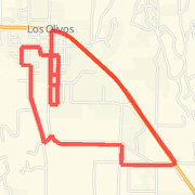 LO 11 miler