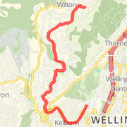 Wilton to Kelburn and back