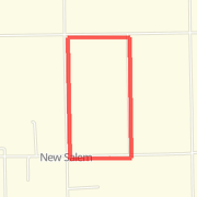 5k run