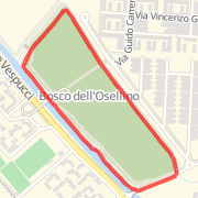 Bosco di Mestre