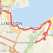 Wellington Novotel to Mt Victoria &amp; Back