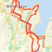 Wellington Novotel to Mt Victoria and Beyond