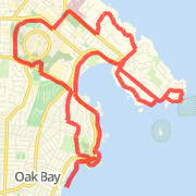 Saturday March 4 Run