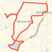 daily run