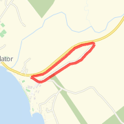 Loop at Camp of the woods