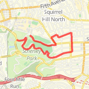 Race for the Cure- Pittsburgh- 5K