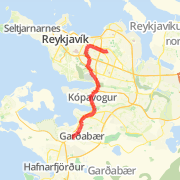 Kaffilei&eth;in