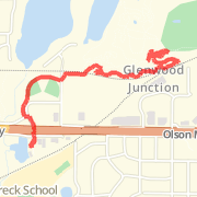 Loppet run