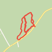 Trail run with Tammy