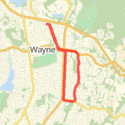 Wayne 5 miler