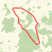 Longer Run
