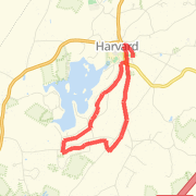 Harvard 5 Miler