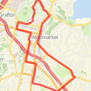 Mt Hobson 8km