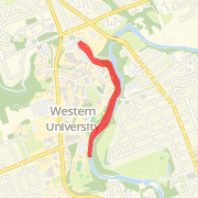 Marathon Training
