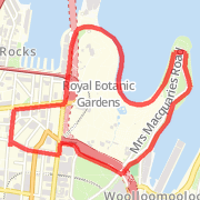 9.5 KM Run - 68 Pitt + Around Mrs Maquaries Chair and back
