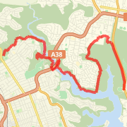 Bush Track 2