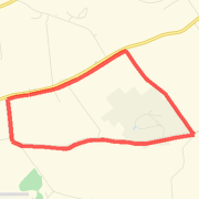 Easy run
