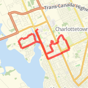 11 km Sporting Intentions