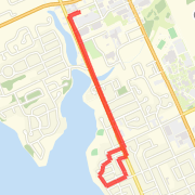 5 km Sporting Intentions